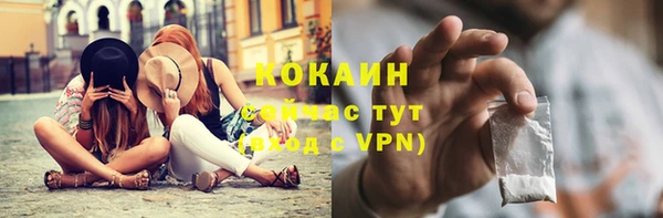 стаф Гусев