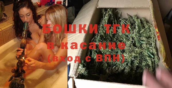 стаф Гусев