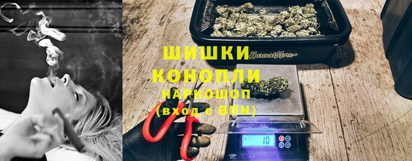 стаф Гусев