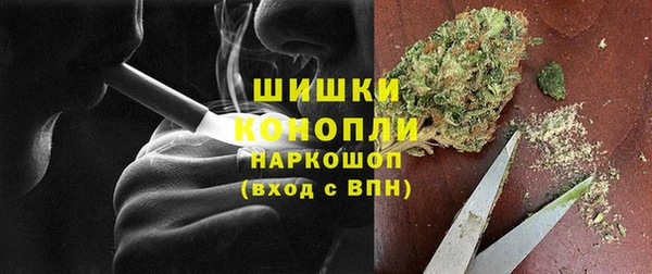 стаф Гусев