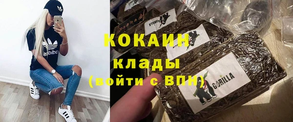 стаф Гусев