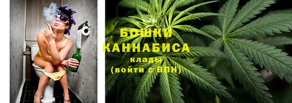 стаф Гусев