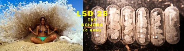PSILOCYBIN Невельск