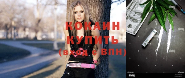 стаф Гусев