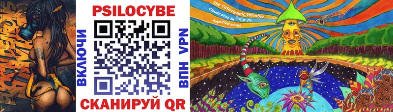 купить  цена  Михайлов  Псилоцибиновые грибы Cubensis 
