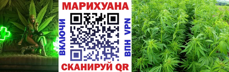 Марихуана индика  где продают наркотики  Михайлов 